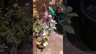Fast vlog 