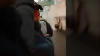 PRÄNKKI  video osa 1