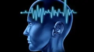 Зачем нужна биологическая обратная связь