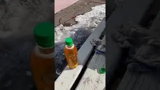 Обед на природе.