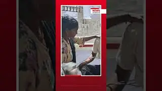 चट्याङ पर्दा दैलेखमा चार जना घाइते भएका छन् ।