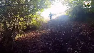 Охота на фазана в красивых местах