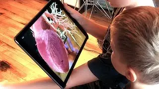 hybrid | AnatomyAR+ app
