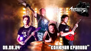 ARTAIROS | 09.08.24 | пгт.Зеленогорский | Колючая крапива