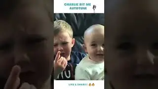 Charlie bit me autotune 😂 