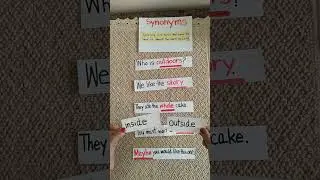 Words that mean the same thing? Exploring Synonyms with Examples 