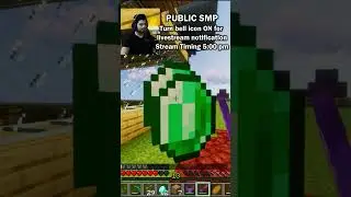 public smp minecraft 