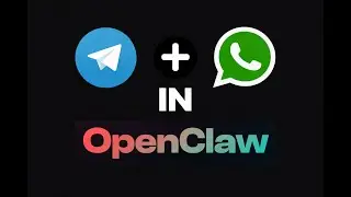 Connect  OpenClaw to WhatsApp and Telegram