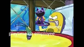 Catnap recall in a nutshell