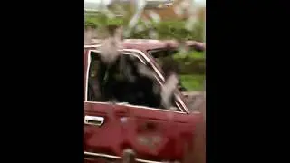 Yober bobo