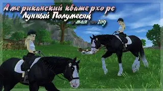 КУПИЛА КВАТЕРХОРСА//Star Stable//#19