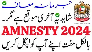 UAE Amnesty Scheme 2024 | Don't Go Back to Pakistan | Dubai Visa Updates 2024 دبئ عام معافی