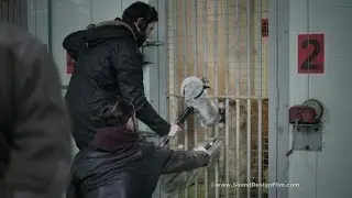 Sound effects recording Lion roars and articulations for LG commercial
