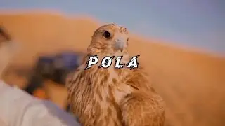 Turkish x Arabic Afro Drill Type Beat - " Aswan " - Prod. P O L A