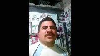 Volvio garombita