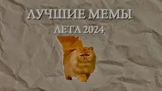 ЛУЧШИЕ МЕМЫ ЛЕТА 2024