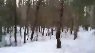 Шиес. Дед Мороз и защитники Шиеса.