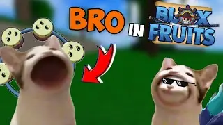 BRO in Blox fruits (part 1)| BloxFruits Animation