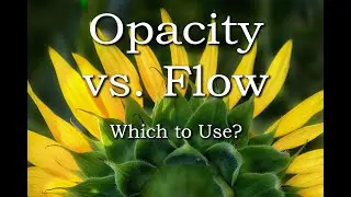Opacity Vs. Flow. What's the Difference