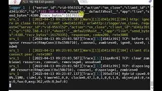 stat srs (simple realtime server) network usage for each stream
