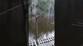 Mancing ikan ,Lihat apa yang terjadi dengan pemancing ini, ikan besar