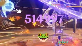 Raiden Damage [514997]