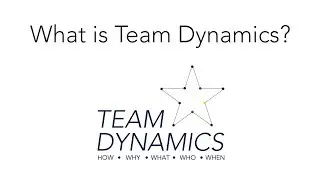 What is Team Dymanics