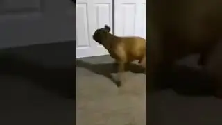 Моя утренняя движуха 🤪😎😜 #shorts #tiktok #reels