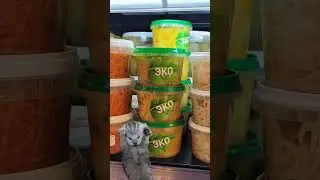 Осторожно, гринвошинг!  #еда #продукты #greenwashing