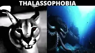 Floppa Becoming Uncanny Thalassophobia