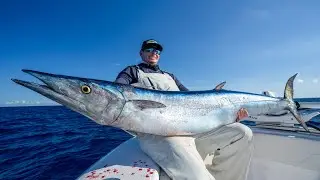 GIANT Wahoo Catch Clean Cook!
