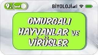 Omurgalı Hayvanlar ve Virüsler | 9.Sınıf Biyoloji #2023