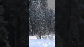 Голос, как колыбель, тянет в сон 💤❤️Приятно взять хорошего человека в Новый год, не правда ли?☺️