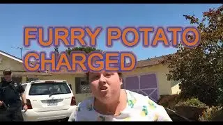 FURRY POTATO CHARGED