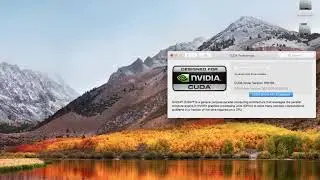 adobe premiere 2019 lag, slow, freezing on OSX fix!solved!