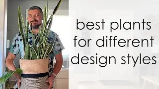 Best Plants for Different Design Styles
