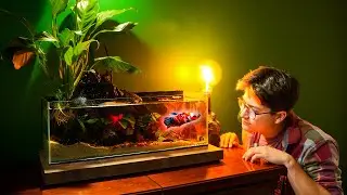 Creating a Black Water tank for my Betta WITH Water fall and Peace Lily: Step by Step!