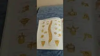 Краткое введение. Видео 1.