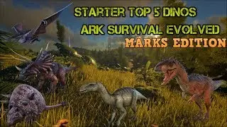 TOP 5 BEGINNER TAMES V2 | ARK SURVIVAL EVOLVED