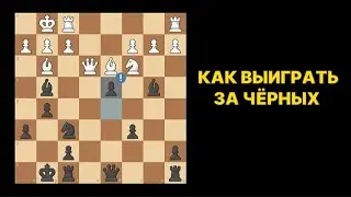Ловушка за черных в дебюте четырех коней