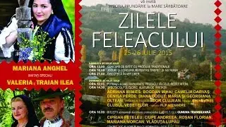 CIPRIAN PETELEU - spectacol Feleacu 2015