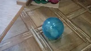 Хомяк  в прогулочном шаре