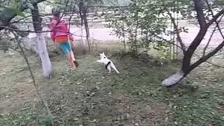 20170813 225423