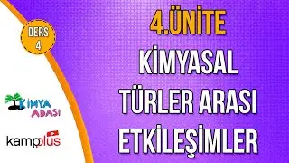📌 23. GÜN | KAMPPLUS DERS 4 | KİMYASAL TÜRLER ARASI ETKİLEŞİMLER 🤓 4. ÜNİTE | Kimya Adası 