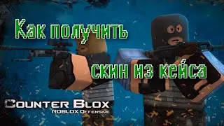 Как надеть скин из кейса