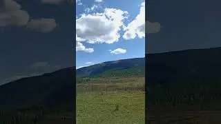 по лесной дороге Алтай