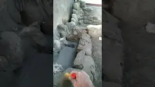Relif kolam ikan minimalis