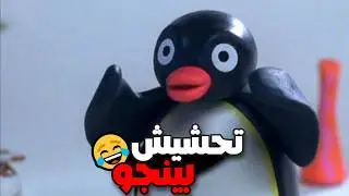 تحشيش بينجو 😂🔥| الجزء الأول