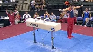 Alexander Naddour highest on Pommel Horse - from Universal Sports