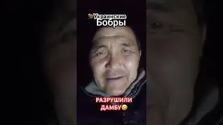 😀Украинские бобры разрушили дамбу в Орске! 
